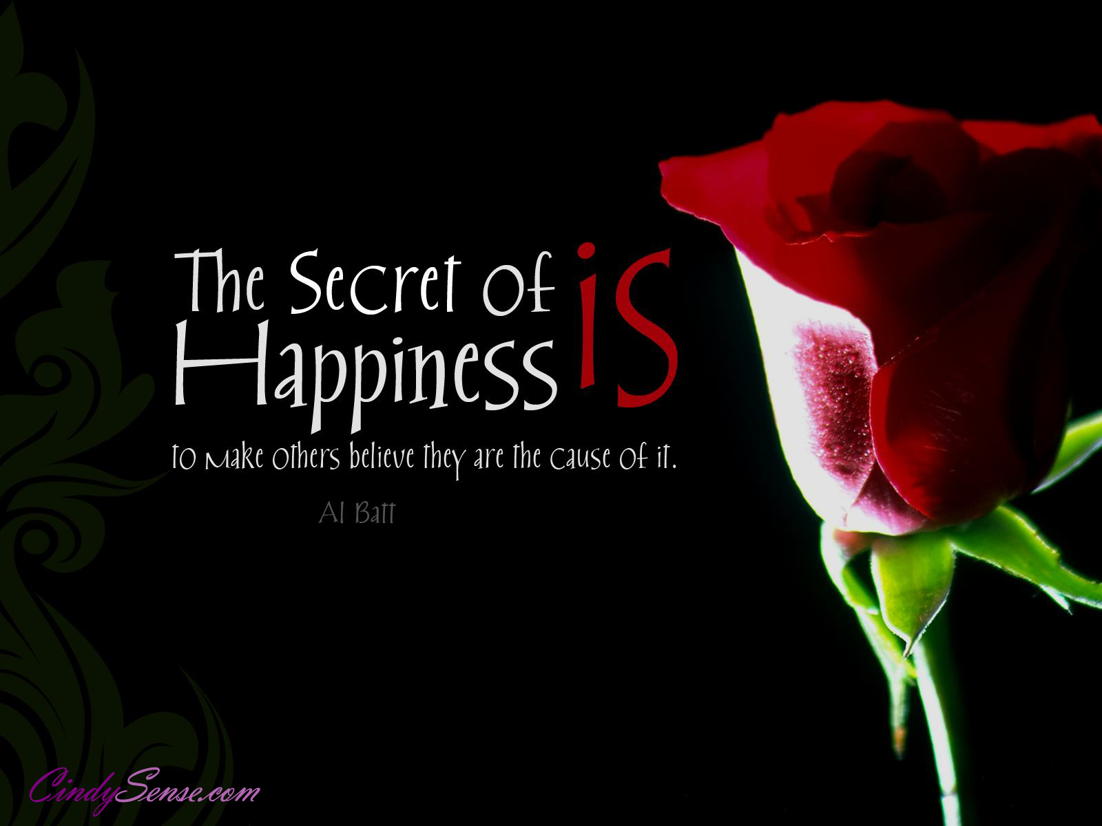The Secret of Happiness...